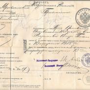 Старинный документ. Паспорт 1915 года.