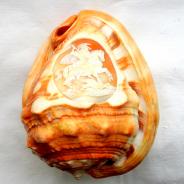 Камея на раковине с изображением Георгия Победоносца.  Раковина, резьба. Основание раковины 13, 5 см. h= 9 cм.