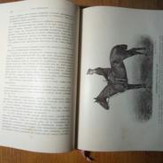 Старинная книга о лошади Графа К.Г.Врангеля